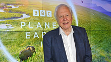 Egy évszázad az élő bolygón – húsz érdekesség és számos videó a ma százéves David Attenborough-ról