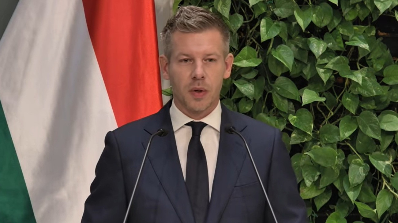 Magyar Péter ismerteti a kegyelmi ügy részleteit