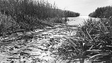 A Balatonnál gyilkolt egy hasfelmetsző, aki orvos volt