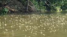 Tisza: a rendőrség komoly figyelmeztetést adott ki