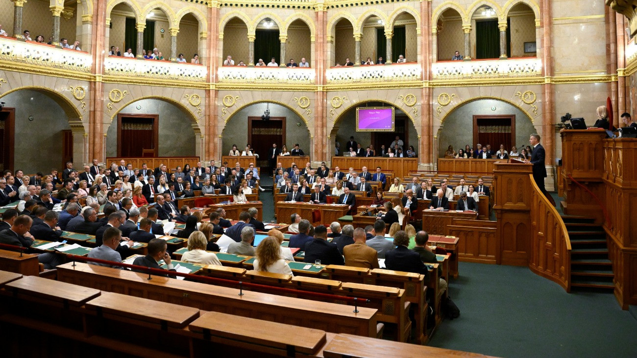 Magyar Péter levelet írt Forsthoffer Ágnesnek, rendkívüli ülés jön