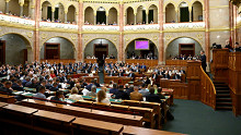 Magyar Péter levelet írt Forsthoffer Ágnesnek, rendkívüli ülés jön