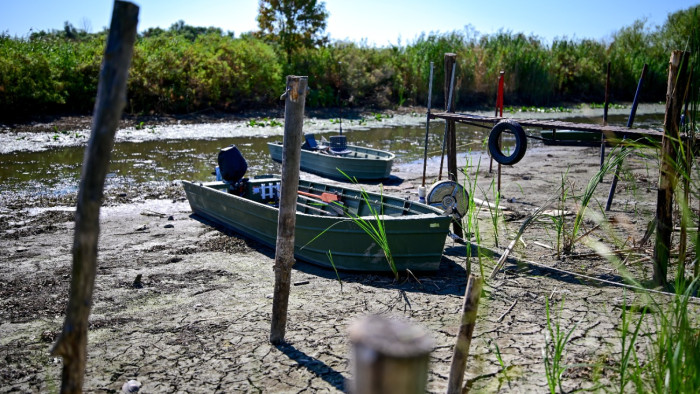 Szomorú helyzetben van a Tisza-tó – galéria