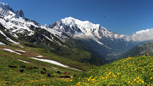 Megnőtt a Mont Blanc
