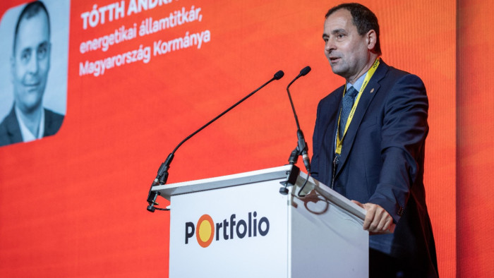 Lemondott az MVM-igazgatóság elnöke